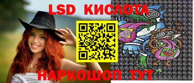 индика Гусь-Хрустальный