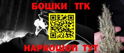индика Гусь-Хрустальный