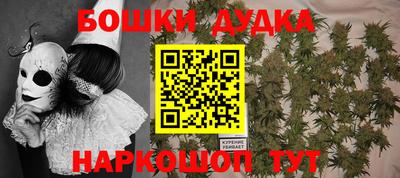 индика Гусь-Хрустальный