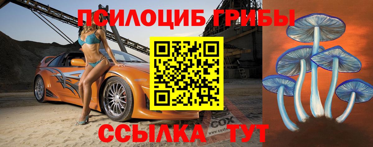 Галлюциногенные грибы Magic Shrooms  Вход с VPN  Курск 